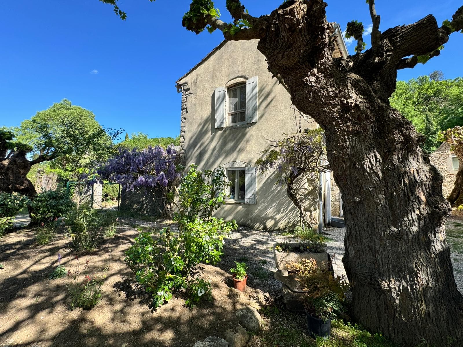 Mas Rigoulet — façade principale